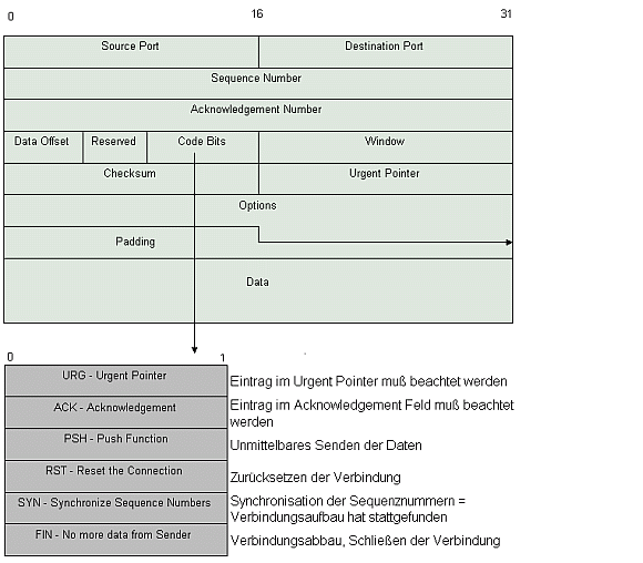 Das TCP-Segment